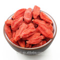 TC para Superfood orgânico Goji Berry / Natural Wolfberry